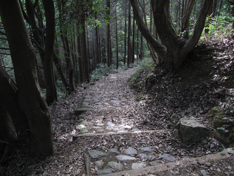 20171005hike (343)